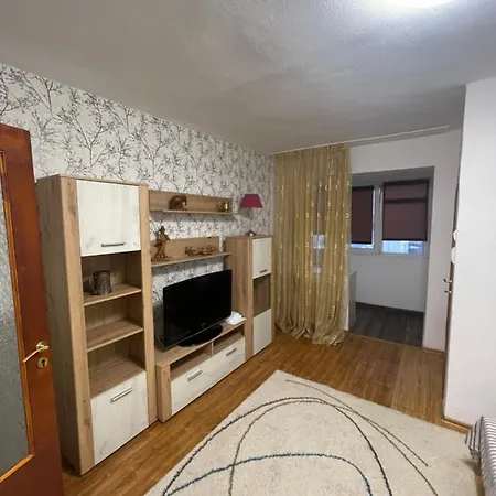 Garsoniera -Single Room 91 Bucarest Esterno foto