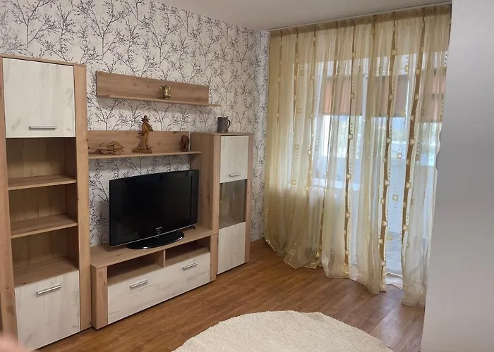 Garsoniera -Single Room 91