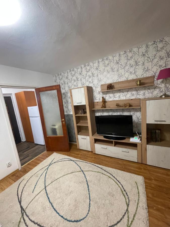 Apartament Garsoniera -single 91